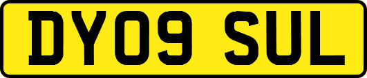 DY09SUL
