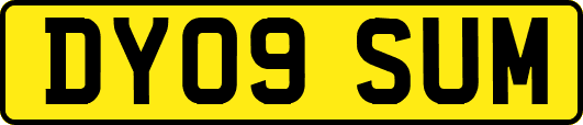 DY09SUM