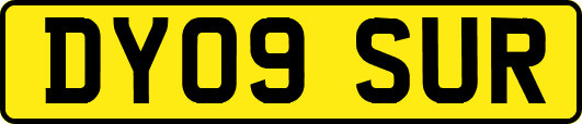 DY09SUR