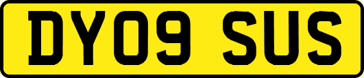 DY09SUS