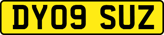 DY09SUZ