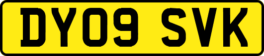 DY09SVK