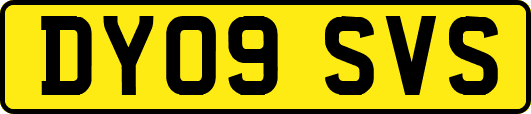 DY09SVS