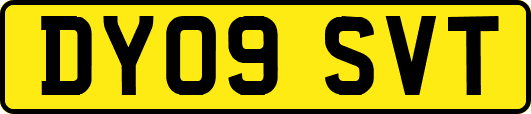 DY09SVT