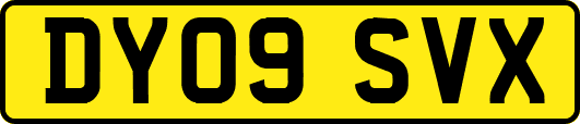 DY09SVX
