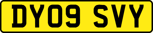 DY09SVY