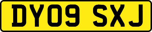 DY09SXJ