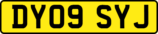 DY09SYJ