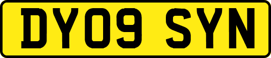 DY09SYN