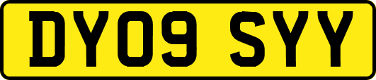 DY09SYY