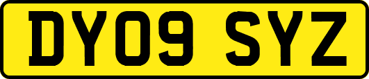 DY09SYZ