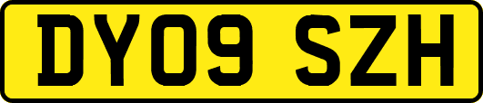 DY09SZH