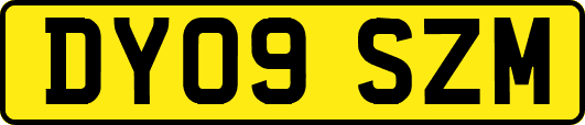 DY09SZM