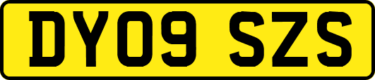 DY09SZS