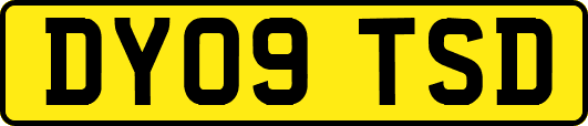 DY09TSD