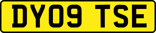 DY09TSE