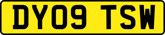 DY09TSW