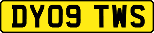 DY09TWS