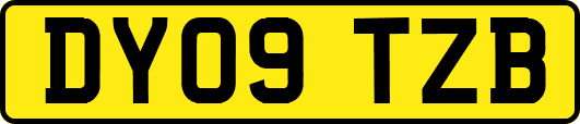 DY09TZB