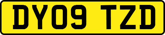 DY09TZD