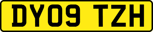 DY09TZH