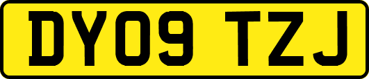 DY09TZJ