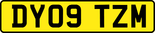 DY09TZM