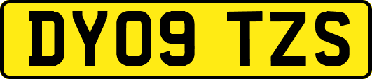 DY09TZS