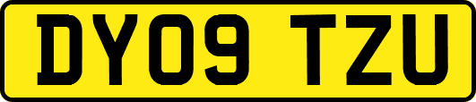 DY09TZU