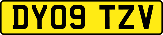 DY09TZV