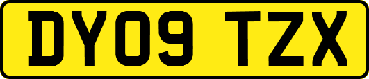 DY09TZX