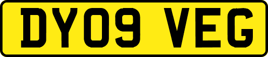 DY09VEG