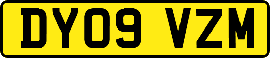 DY09VZM