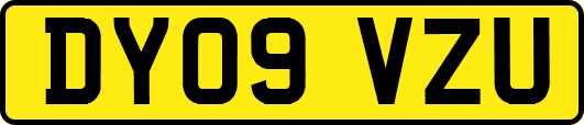DY09VZU