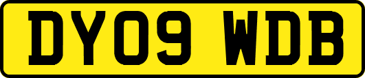 DY09WDB
