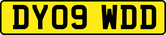DY09WDD