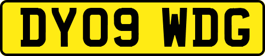 DY09WDG