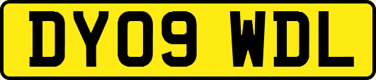 DY09WDL