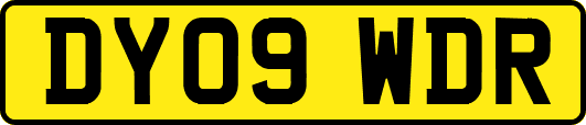 DY09WDR