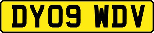 DY09WDV