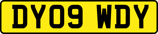 DY09WDY