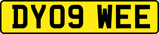 DY09WEE