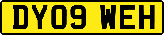 DY09WEH