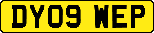 DY09WEP