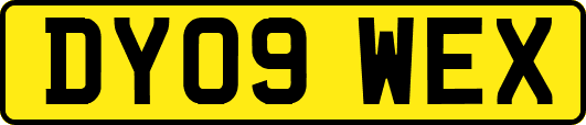 DY09WEX