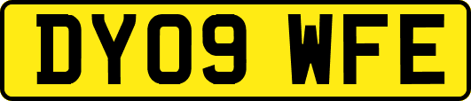 DY09WFE