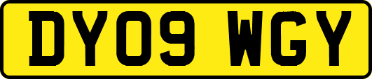 DY09WGY