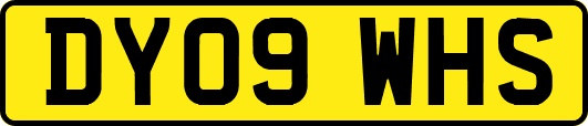 DY09WHS