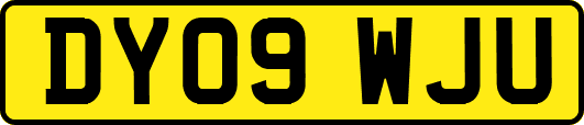 DY09WJU