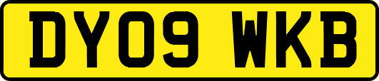 DY09WKB